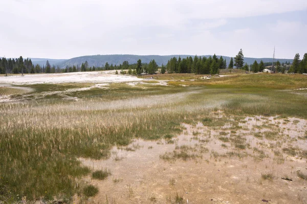 Geiser Aguas Termales Antigua Cuenca Fiel Parque Nacional Yellowstone Wyoming — Foto de Stock