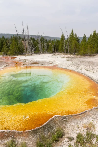 Geiser Aguas Termales Antigua Cuenca Fiel Parque Nacional Yellowstone Wyoming — Foto de Stock