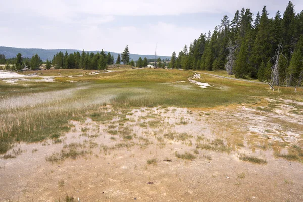 Geyser Och Varma Våren Gamla Trogna Bassängen Yellowstone National Park — Stockfoto