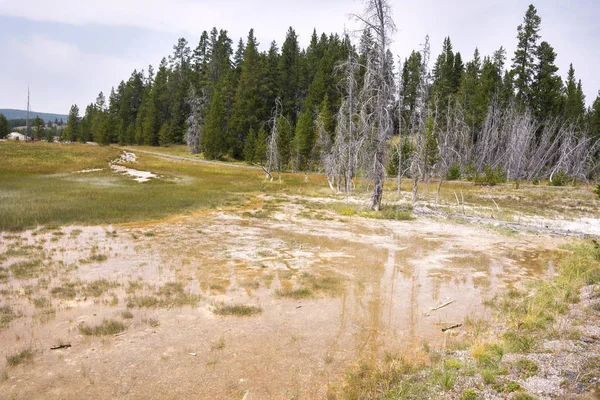 Geyser Och Varma Våren Gamla Trogna Bassängen Yellowstone National Park — Stockfoto