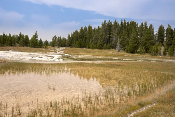 Geyser Fonte Termal Antiga Bacia Fiel Yellowstone National Park Wyoming — Fotografia de Stock