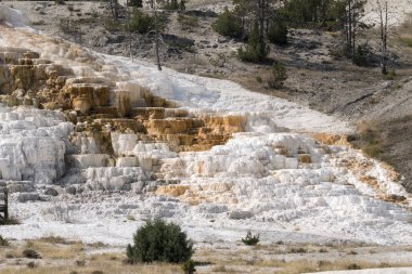 Wyoming Amerika'da mamut sıcak Springs termal yaylar
