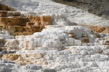 Amerika 'da Wyoming 'deki mamut kaplıcalarda termal yaylar ve kireçtaşı oluşumları