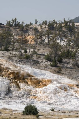 Amerika 'da Wyoming 'deki mamut kaplıcalarda termal yaylar ve kireçtaşı oluşumları