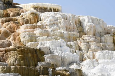 Amerika 'da Wyoming 'deki mamut kaplıcalarda termal yaylar ve kireçtaşı oluşumları