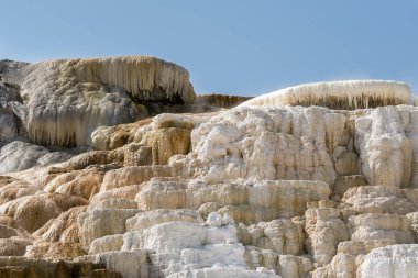 Amerika 'da Wyoming 'deki mamut kaplıcalarda termal yaylar ve kireçtaşı oluşumları