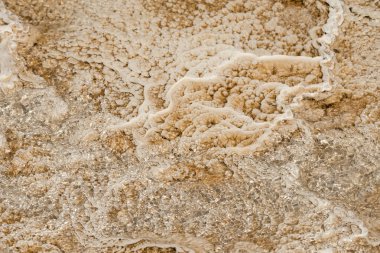 Amerika 'da Wyoming 'deki mamut kaplıcalarda termal yaylar ve kireçtaşı oluşumları