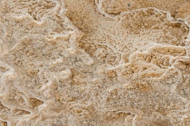 Amerika 'da Wyoming 'deki mamut kaplıcalarda termal yaylar ve kireçtaşı oluşumları