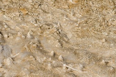 Amerika 'da Wyoming 'deki mamut kaplıcalarda termal yaylar ve kireçtaşı oluşumları