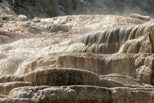 thermal springs and limestone formations at mammoth hot springs in Wyoming in America