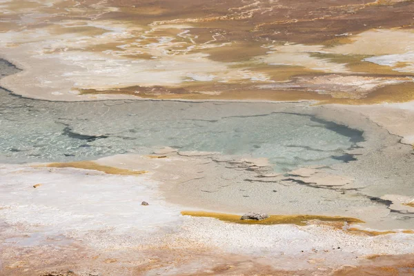 Fuentes Termales Formaciones Piedra Caliza Las Fuentes Termales Mamut Wyoming — Foto de Stock