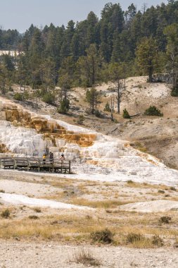 Amerika 'da Wyoming 'deki mamut kaplıcalarda termal yaylar ve kireçtaşı oluşumları