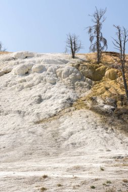 Amerika 'da Wyoming 'deki mamut kaplıcalarda termal yaylar ve kireçtaşı oluşumları