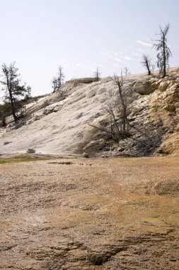 Amerika 'da Wyoming 'deki mamut kaplıcalarda termal yaylar ve kireçtaşı oluşumları