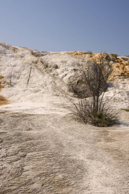 Amerika 'da Wyoming 'deki mamut kaplıcalarda termal yaylar ve kireçtaşı oluşumları
