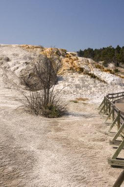 Amerika 'da Wyoming 'deki mamut kaplıcalarda termal yaylar ve kireçtaşı oluşumları