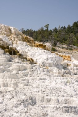 Amerika 'da Wyoming 'deki mamut kaplıcalarda termal yaylar ve kireçtaşı oluşumları