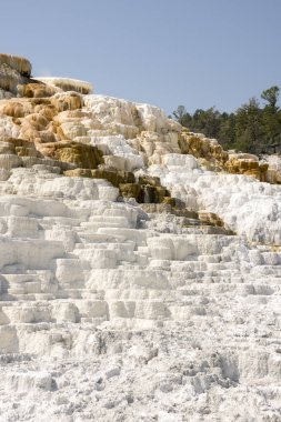 Amerika 'da Wyoming 'deki mamut kaplıcalarda termal yaylar ve kireçtaşı oluşumları