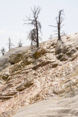 Amerika 'da Wyoming 'deki mamut kaplıcalarda termal yaylar ve kireçtaşı oluşumları