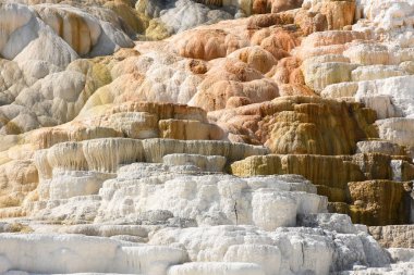 Amerika 'da Wyoming 'deki mamut kaplıcalarda termal yaylar ve kireçtaşı oluşumları