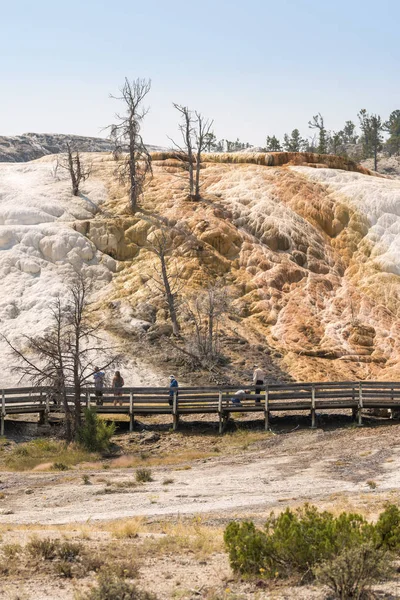 Fuentes Termales Formaciones Piedra Caliza Las Fuentes Termales Mamut Wyoming — Foto de Stock