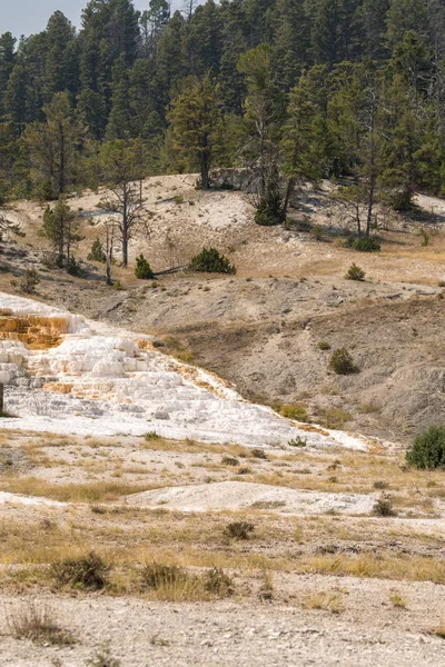 Thermal Springs Limestone Formations Mammoth Hot Springs Wyoming America — Stock Photo, Image