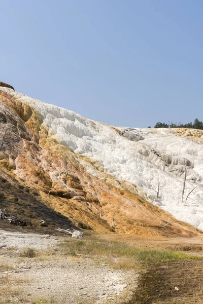 Fuentes Termales Formaciones Piedra Caliza Las Fuentes Termales Mamut Wyoming — Foto de Stock