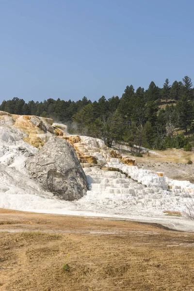 Amerika 'da Wyoming 'deki mamut kaplıcalarda termal yaylar ve kireçtaşı oluşumları