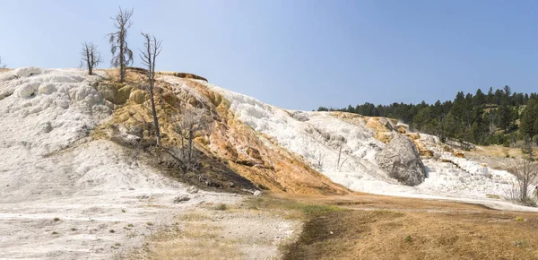 Varma Källor Och Kalkstensformationer Mammoth Hot Springs Wyoming Amerika — Stockfoto