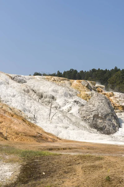 Amerika 'da Wyoming 'deki mamut kaplıcalarda termal yaylar ve kireçtaşı oluşumları