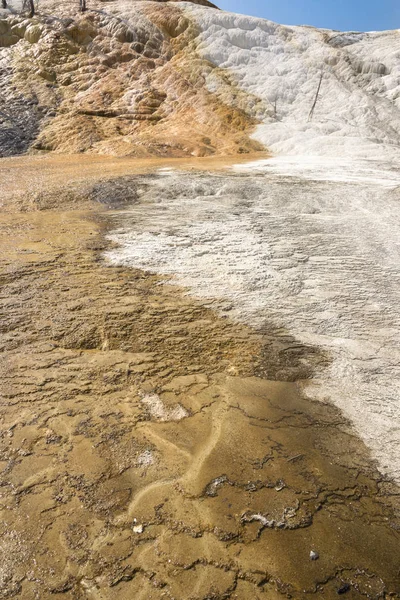 Fuentes Termales Formaciones Piedra Caliza Las Fuentes Termales Mamut Wyoming —  Fotos de Stock