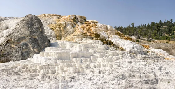 Thermal Springs Limestone Formations Mammoth Hot Springs Wyoming America — Stock Photo, Image
