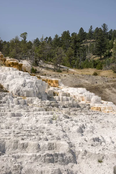 Fuentes Termales Formaciones Piedra Caliza Las Fuentes Termales Mamut Wyoming — Foto de Stock