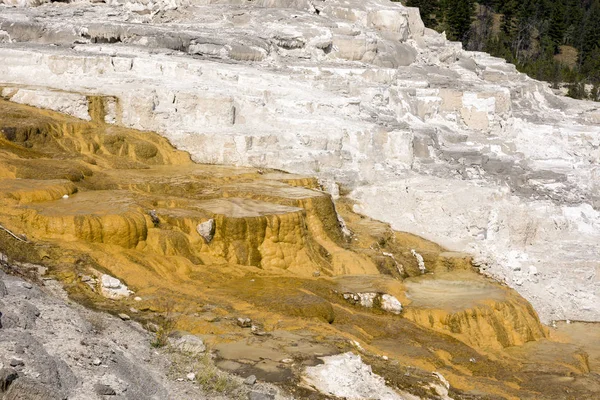 Fuentes Termales Formaciones Piedra Caliza Las Fuentes Termales Mamut Wyoming — Foto de Stock