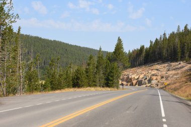 Wyoming Yellowstone Milli Parkı 'nda asfalt yol