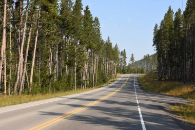 Wyoming Yellowstone Milli Parkı 'nda asfalt yol