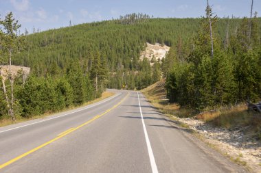 Wyoming Yellowstone Milli Parkı 'nda asfalt yol