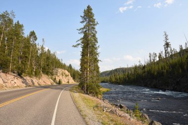 Wyoming Yellowstone Milli Parkı 'nda asfalt yol