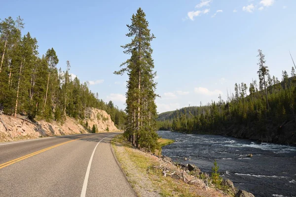 Route Asphaltée Dans Parc National Yellowstone Dans Wyoming — Photo