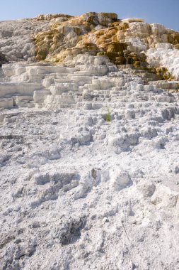 Amerika 'da Wyoming 'deki mamut kaplıcalarda termal yaylar ve kireçtaşı oluşumları