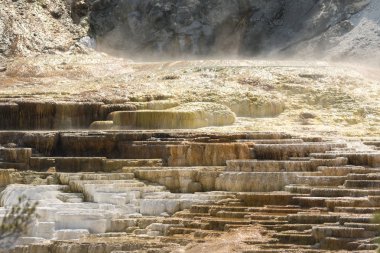 Amerika 'da Wyoming 'deki mamut kaplıcalarda termal yaylar ve kireçtaşı oluşumları