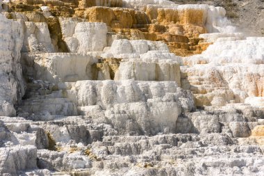 Amerika 'da Wyoming 'deki mamut kaplıcalarda termal yaylar ve kireçtaşı oluşumları