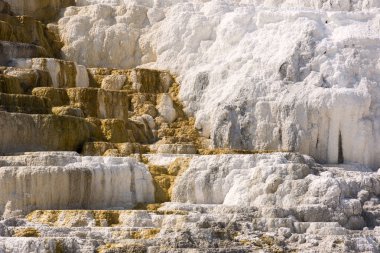 Amerika 'da Wyoming 'deki mamut kaplıcalarda termal yaylar ve kireçtaşı oluşumları