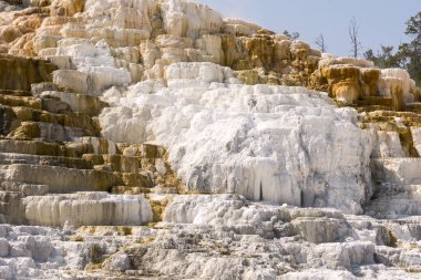 Amerika 'da Wyoming 'deki mamut kaplıcalarda termal yaylar ve kireçtaşı oluşumları