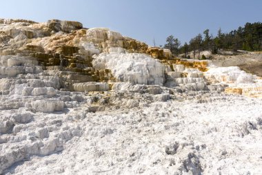 Amerika 'da Wyoming 'deki mamut kaplıcalarda termal yaylar ve kireçtaşı oluşumları