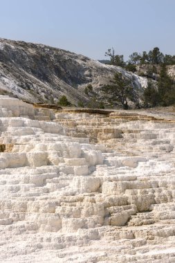 Amerika 'da Wyoming 'deki mamut kaplıcalarda termal yaylar ve kireçtaşı oluşumları