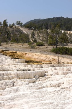Amerika 'da Wyoming 'deki mamut kaplıcalarda termal yaylar ve kireçtaşı oluşumları