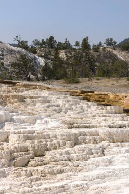 Amerika 'da Wyoming 'deki mamut kaplıcalarda termal yaylar ve kireçtaşı oluşumları