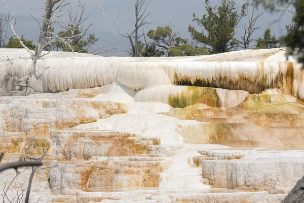 Thermal Springs Limestone Formations Mammoth Hot Springs Wyoming America — Stock Photo, Image