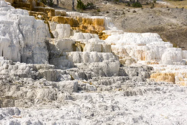 thermal springs and limestone formations at mammoth hot springs in Wyoming in America